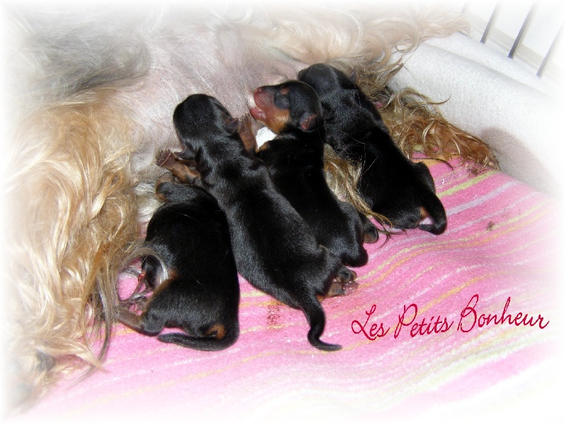 MES PETITS BONHEUR DU 1ER MAI